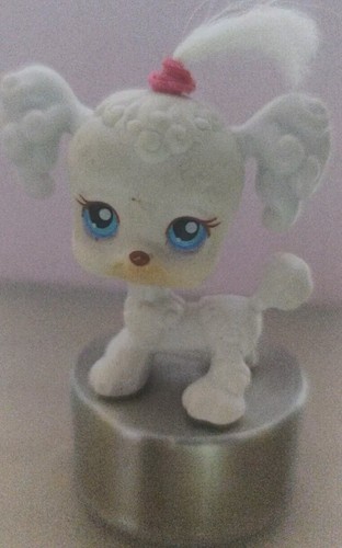 Chaniche blanco ojos - blanco, punto